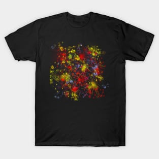 Fireworks Abstract T-Shirt